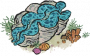 莹蓝砗磲.png