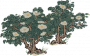 如玉山茶花.png