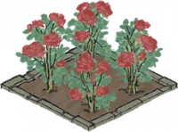 玫瑰花田.png