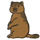 旱獭.png