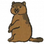 旱獭.png