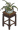 剑兰盆栽.png
