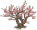 春暖桃花.png