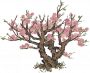 春暖桃花.png