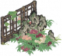 黑石丛牡丹.png