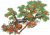 石榴小摊.png