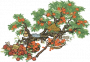 石榴小摊.png