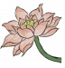 莲花.png