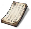 Item IconShiZhanCanJuan.png