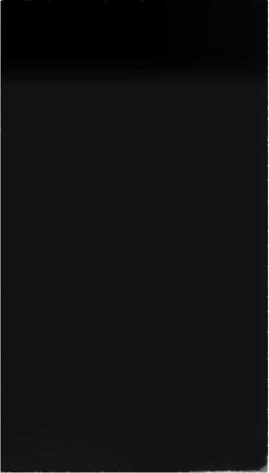 Common1 Bg Tips Black.png