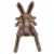 蟋蟀.png