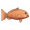紫虹笛鲷.png