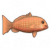 紫虹笛鲷.png