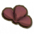 烤仙人掌果.png
