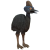 鹤驼.png