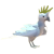 凤头鹦鹉.png