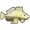 斑点手鱼.png