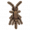 黑色蟋蟀 .png