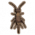 黑色蟋蟀 .png