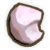 鹦鹉螺.png