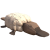 鸭嘴兽.png
