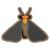 萤火虫.png