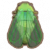 蝉.png