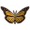 君主斑蝶.png