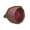 桉树果.png