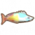 彩虹魚.png