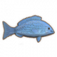 蓝鯥.png