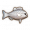 大口汤鲤.png