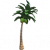 椰子树.png