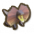 毛绒伞蜥.png