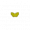 草黄蝶.png
