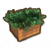胡萝卜箱.png