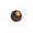 变异之眼.png