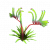 袋鼠爪花.png