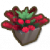 红千层花瓶.png