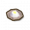 鹤顶草种子.png