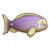 额带刺尾鱼.png