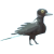 喜鹊.png