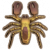 沙漠蝎.png
