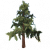 松树.png