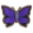 紫蓝蝴蝶.png