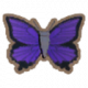 紫蓝蝴蝶.png