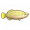 骨舌鱼.png