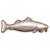 背盾新海鮎.png