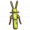 蚱蜢.png