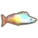 彩虹鱼.png